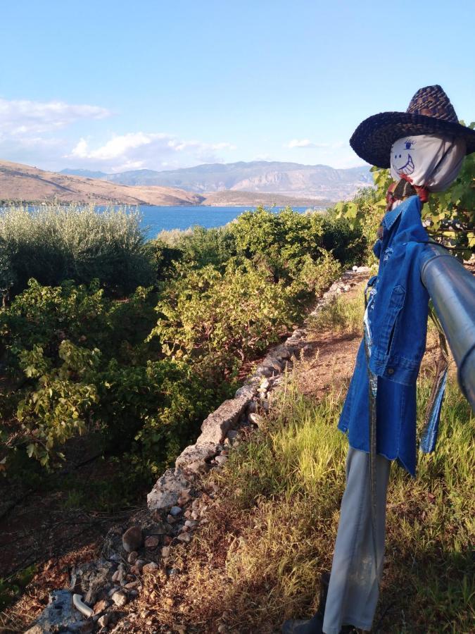 Aphrodite'S Coast Retreat House! Γαλαξίδι Εξωτερικό φωτογραφία