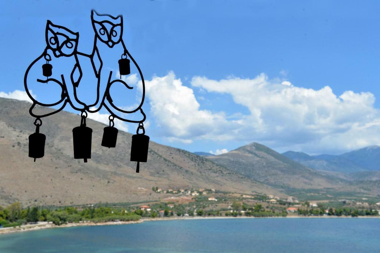 Aphrodite'S Coast Retreat House! Γαλαξίδι Εξωτερικό φωτογραφία