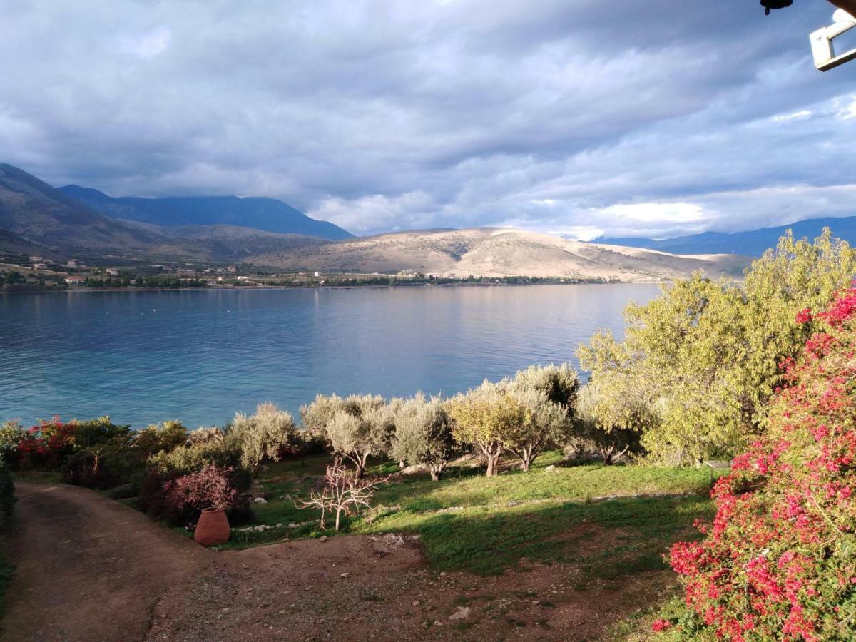 Aphrodite'S Coast Retreat House! Γαλαξίδι Εξωτερικό φωτογραφία