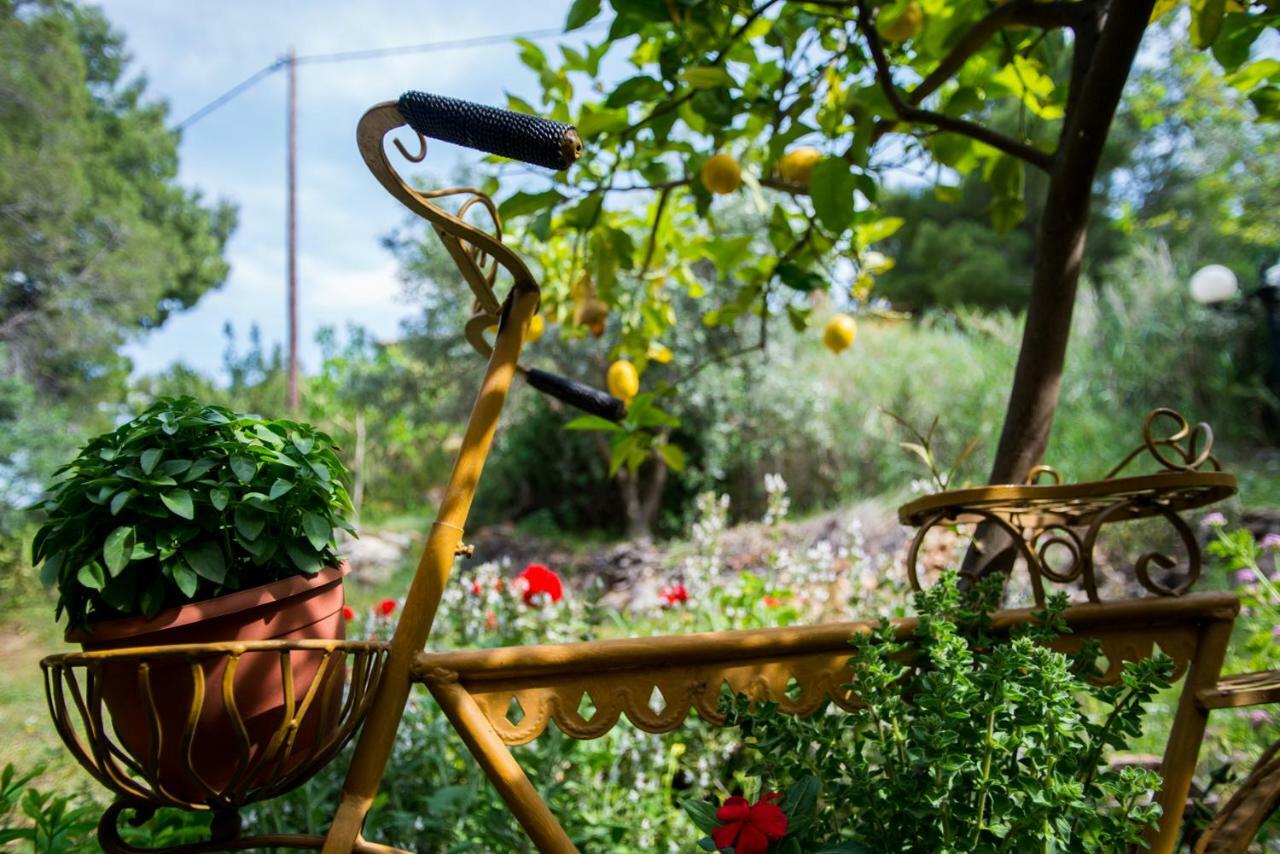 Aphrodite'S Coast Retreat House! Γαλαξίδι Εξωτερικό φωτογραφία