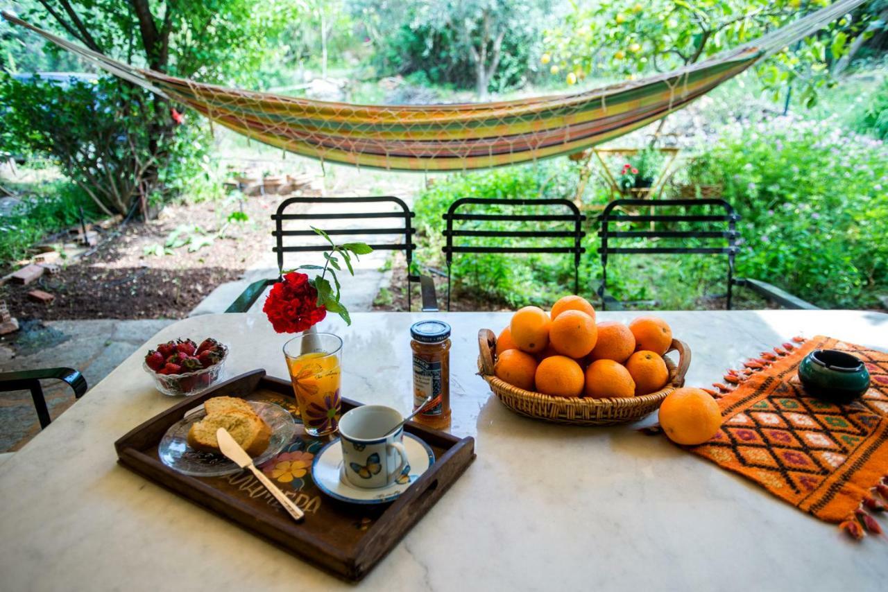 Aphrodite'S Coast Retreat House! Γαλαξίδι Εξωτερικό φωτογραφία